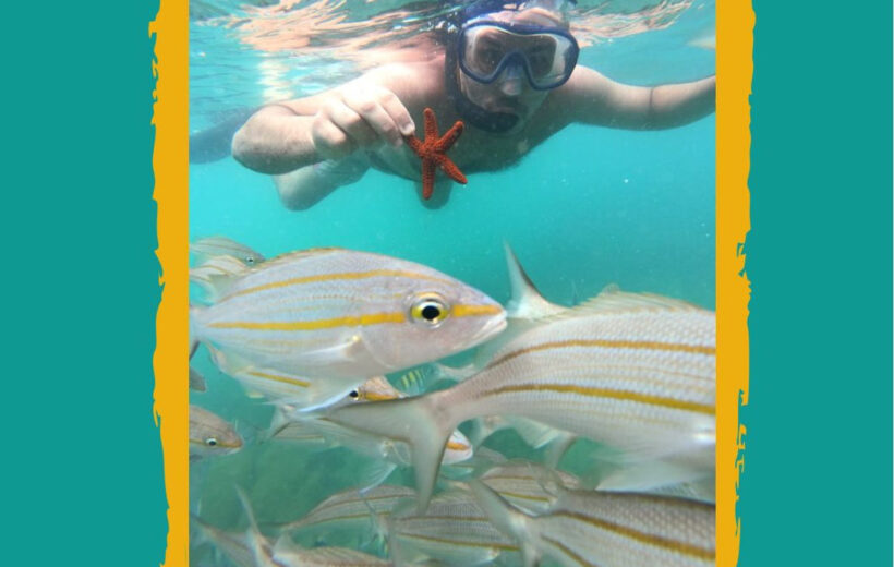 26BEC08C-34AD-4ABC-9A58-D3B9D07EDBE3